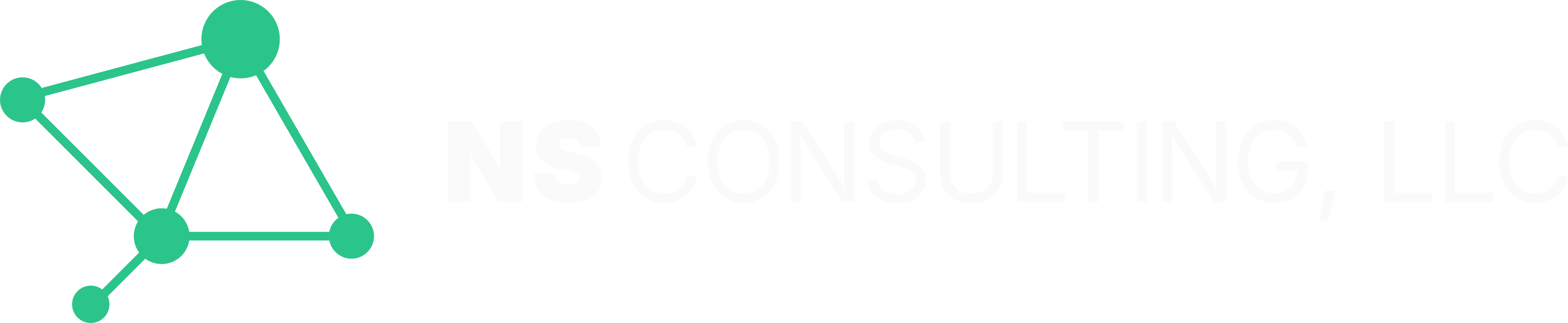 NS Consulting, LLC Logo